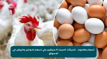 أسعار مفاجئة.. تحديثات السبت 6 سبتمبر على أسعار الدواجن والبيض في الأسواق